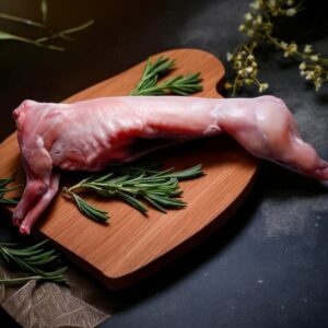 Rabbit